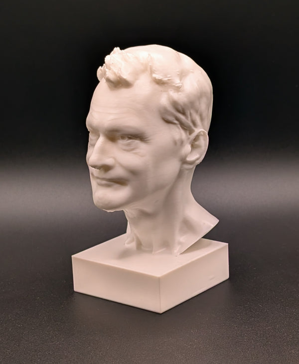 Image to bust in white